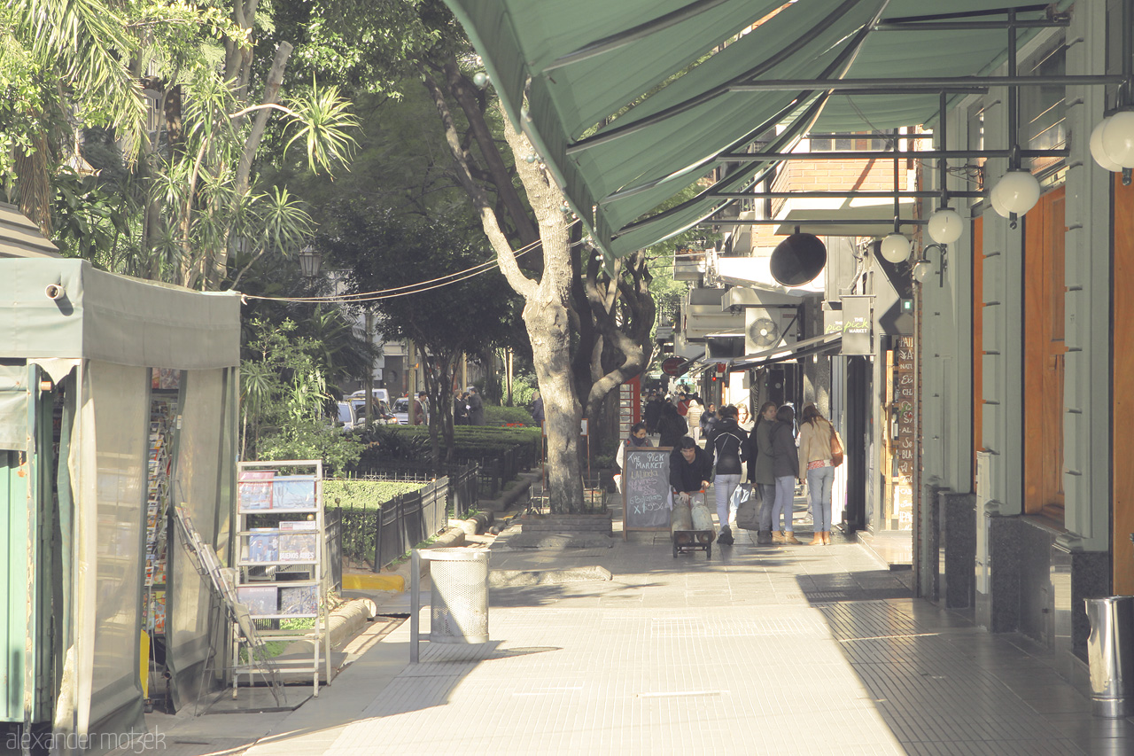 Baires Boulevard Bliss Foto von Sunlit streets of Buenos Aires invite with lively cafes and verdant charm, capturing the essence of Recoleta's vibrant life.